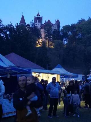 Дома для отпуска Casa Jasmin Бран Дом для отпуска-13