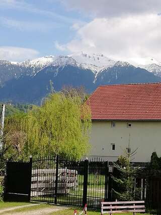 Дома для отпуска Casa Jasmin Бран Дом для отпуска-35