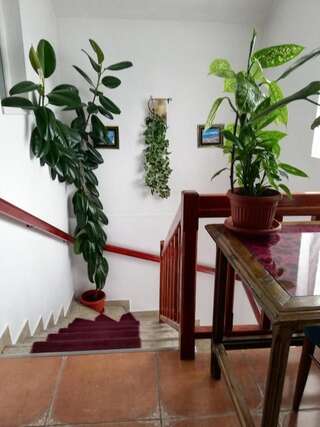 Дома для отпуска Casa Jasmin Бран Дом для отпуска-51